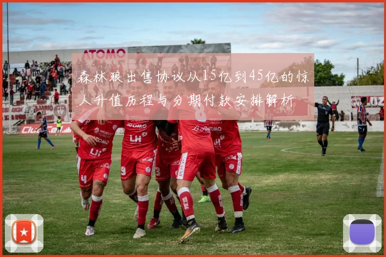 森林狼出售协议从15亿到45亿的惊人升值历程与分期付款安排解析