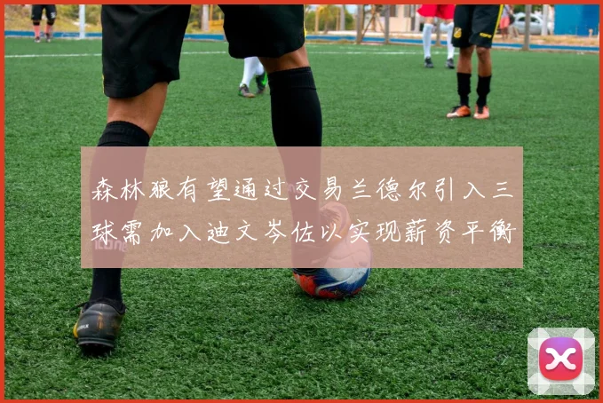 森林狼有望通过交易兰德尔引入三球需加入迪文岑佐以实现薪资平衡